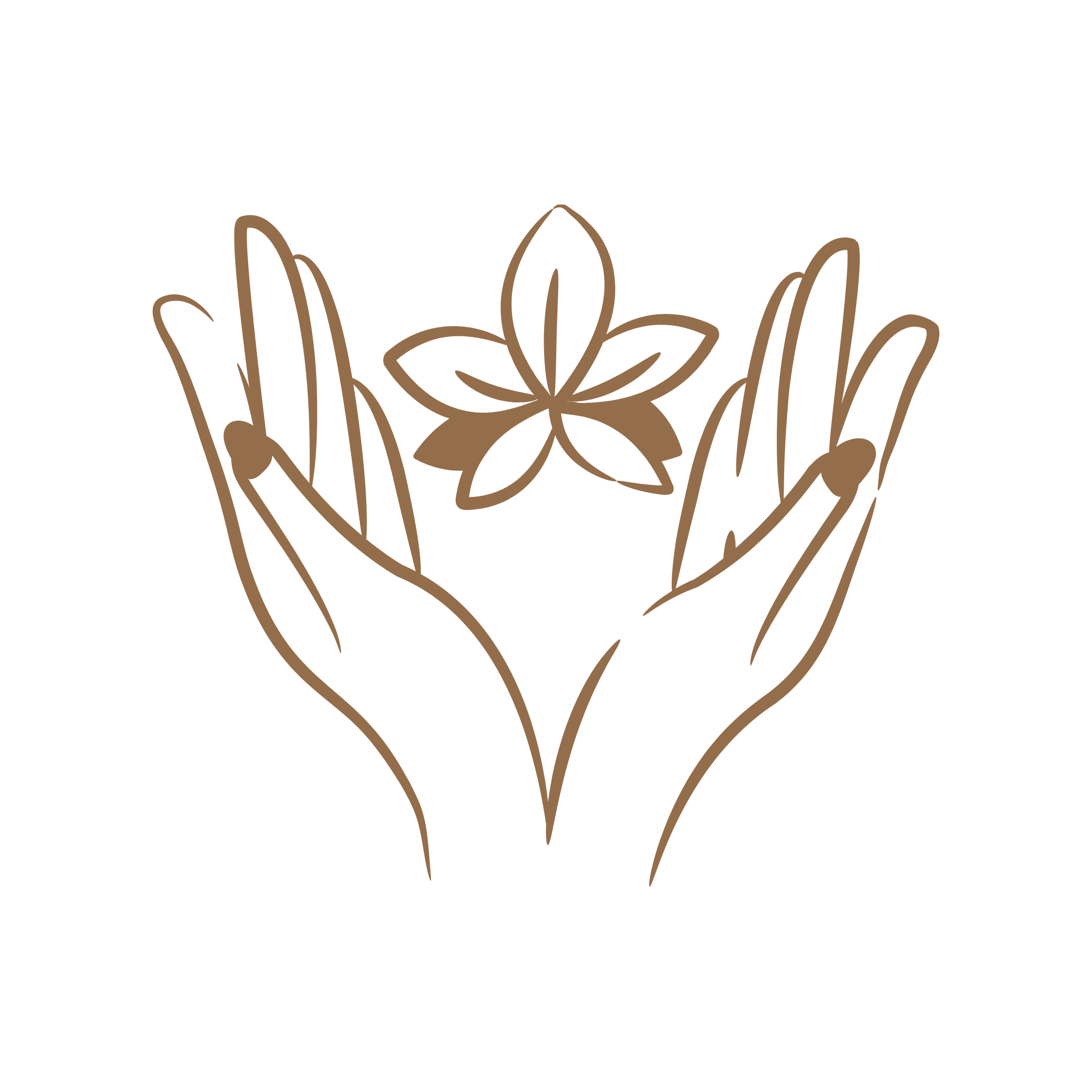 Energy balance holistic wellness